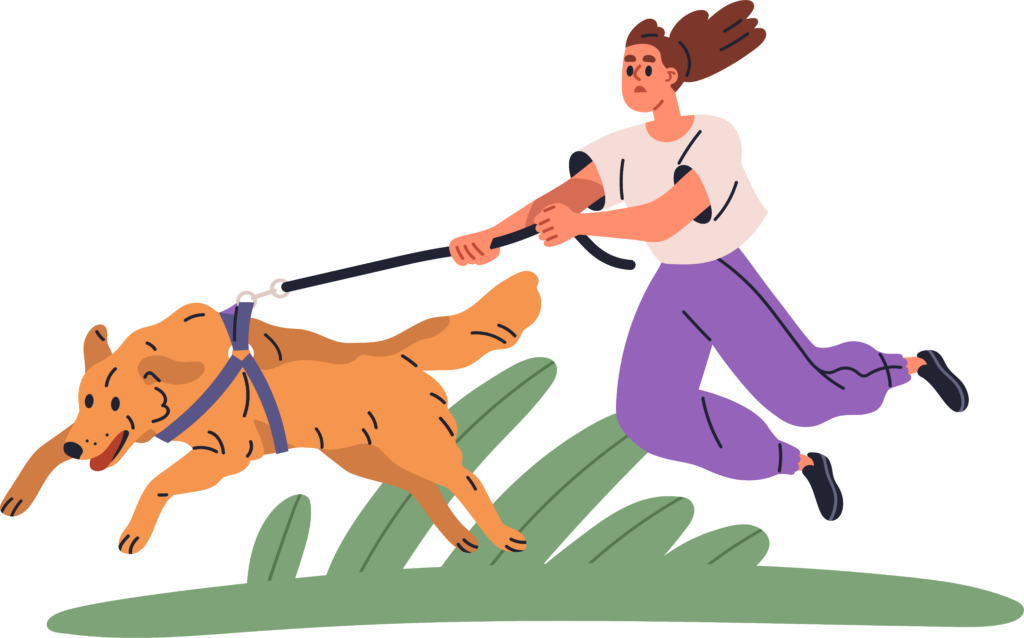 Leinenführigkeit ist ein Kernmodul unseres Hundetrainings