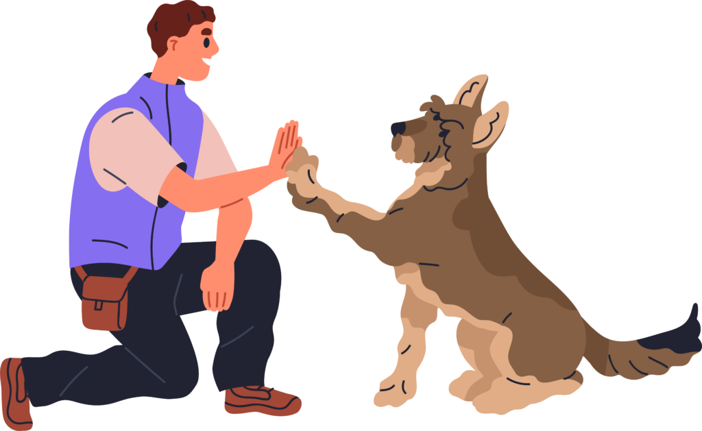Während des Trainings entwickelt ihr euch zu einem noch besseren Mensch-Hund-Team.