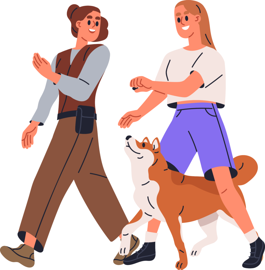 Erfolgreiches Hundetraining mit Hilfe von positiver Verstärkung